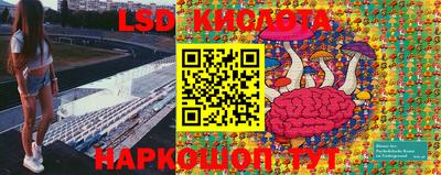 стафф Будённовск
