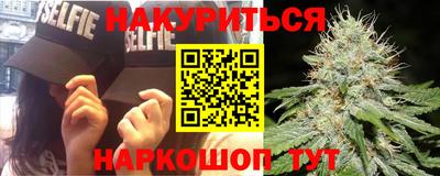 стафф Будённовск