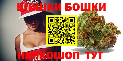 стафф Будённовск