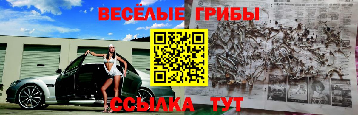 Псилоцибиновые грибы Psilocybe  Галлюциногенные грибы ЛСД  Ярцево  цены наркотик  Вход с VPN 
